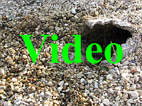 sump-video