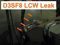 D3SF8-LCW-Leak