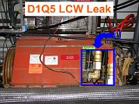 D1Q5-LCW-Leak